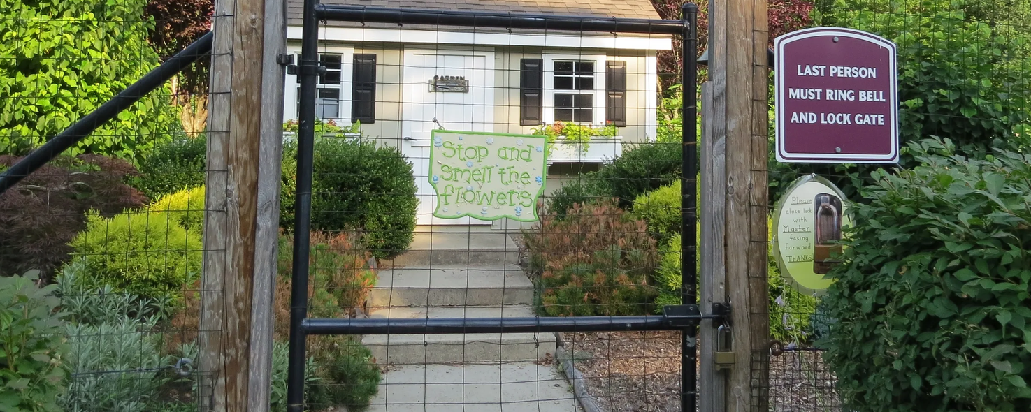 Community Garden