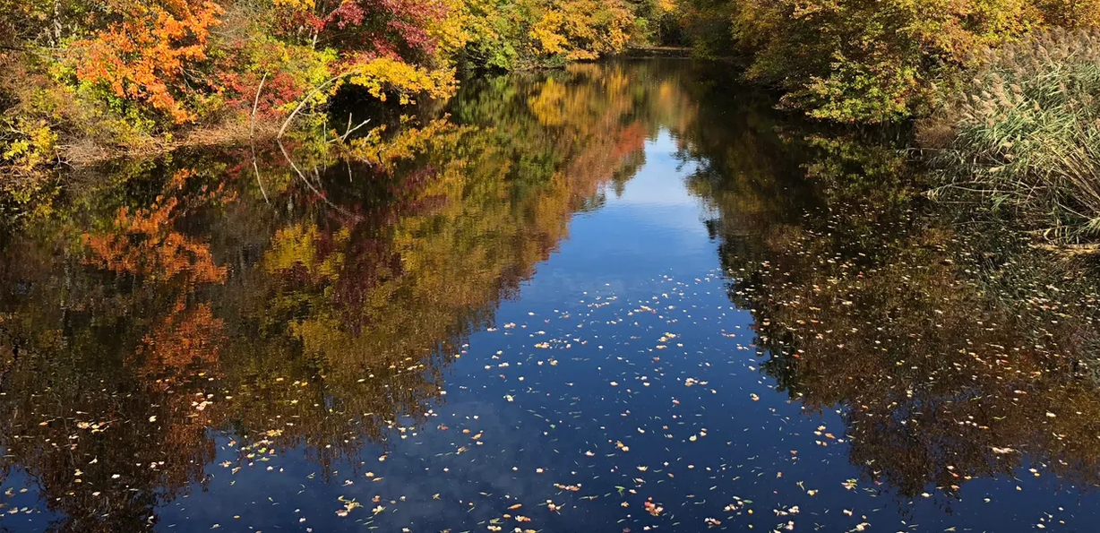 Metedeconk River in autumn