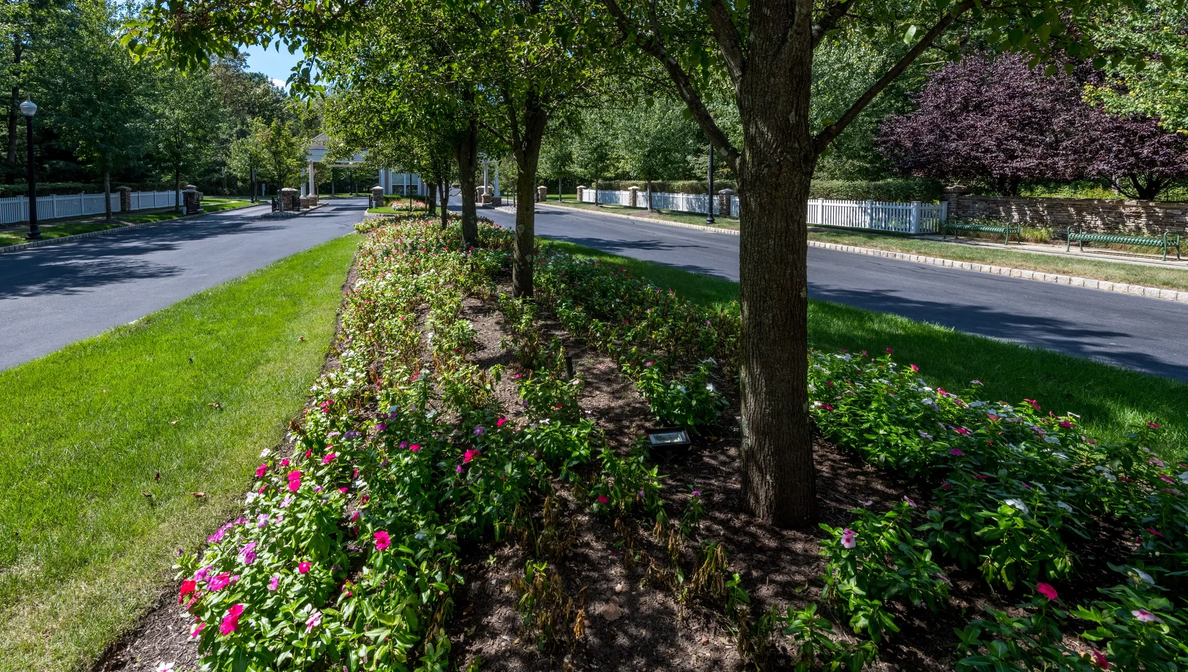 Drive from Entrance Gate to Clubhouse